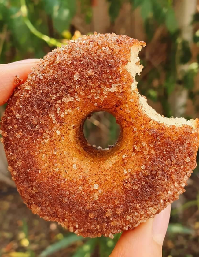donut