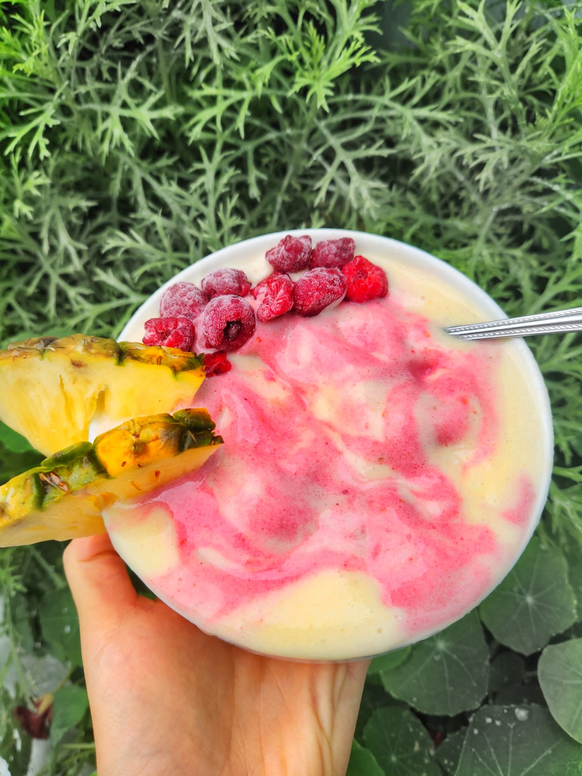 nicecream, pinn and rasp