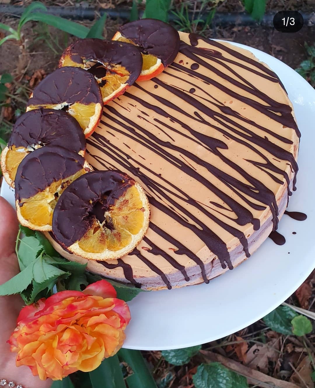 raw jaffa cake